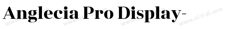 Anglecia Pro Display字体转换